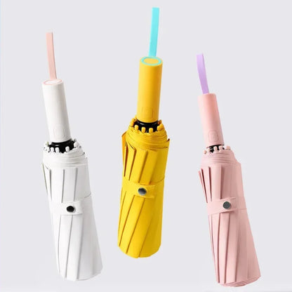 CLOUDHAUS - Max | 72 Ribs